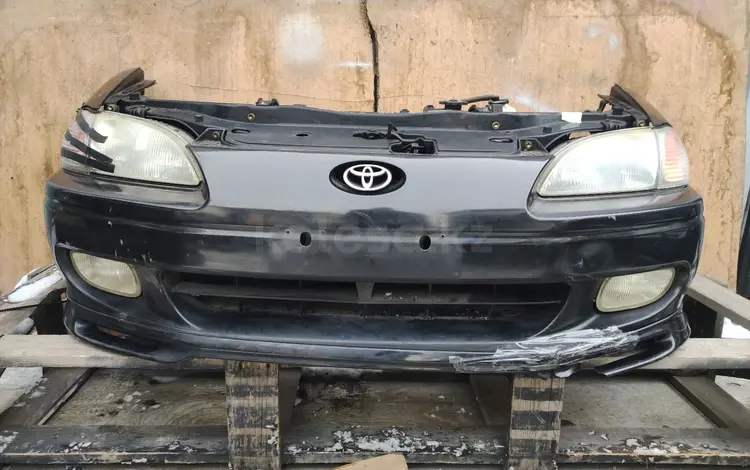 Цинос пасео ноускат за 400 000 тг. в Алматы