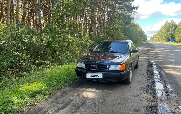 Audi 100 1994 года за 1 800 000 тг. в Петропавловск