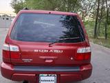 Subaru Forester 2001 года за 3 300 000 тг. в Алматы – фото 3