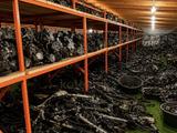 Рулевые рейки на любые авто за 50 000 тг. в Астана