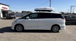 Toyota Estima 2009 года за 3 900 000 тг. в Уральск – фото 5