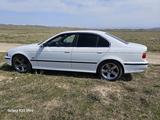 BMW 523 1996 года за 2 300 000 тг. в Тараз – фото 3