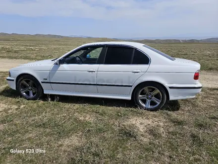 BMW 523 1996 года за 3 100 000 тг. в Тараз – фото 3