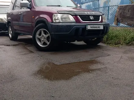 Honda CR-V 1996 года за 2 870 000 тг. в Алматы