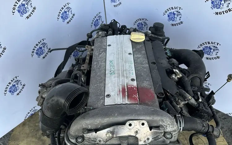 Z20NEL или B207 двигатель 2.0 SAAB 9-3, Opel Zafira, Vectra, Signum, Astraүшін299 000 тг. в Алматы