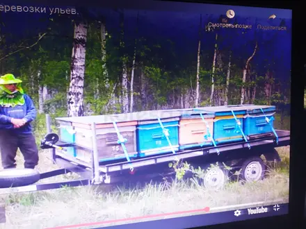 Курганские прицепы  Универсал. Тайга. Тандем. Водник 2026 года за 550 000 тг. в Костанай – фото 34
