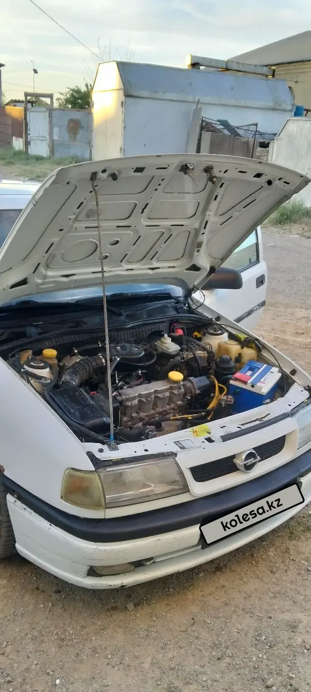 Opel Vectra, 1993