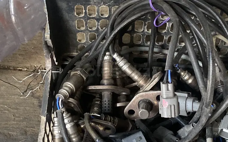 Лямбда зонд для Toyota за 20 000 тг. в Алматы
