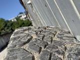 Goodyear wrangler duratracүшін55 000 тг. в Шымкент – фото 5