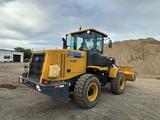 XCMG  LW330 2024 года за 12 500 000 тг. в Караганда – фото 3