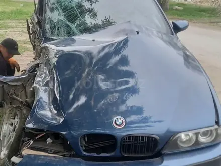 BMW 530 2003 года за 1 450 000 тг. в Алматы – фото 4