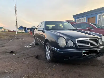 Mercedes-Benz E 200 1998 года за 2 999 999 тг. в Кокшетау – фото 5