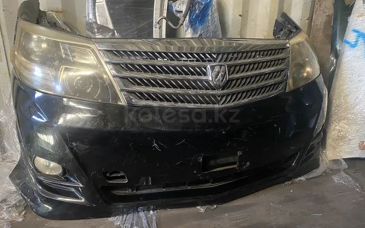 Ноускат за 250 000 тг. в Алматы