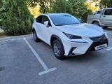 Lexus NX 200 2021 года за 21 000 000 тг. в Шымкент – фото 3