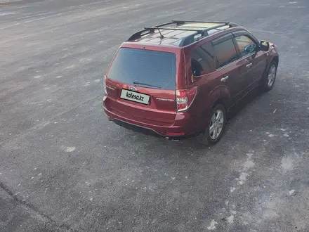 Subaru Forester 2008 года за 4 800 000 тг. в Алматы – фото 3