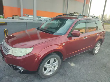 Subaru Forester 2008 года за 4 800 000 тг. в Алматы – фото 5