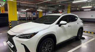 Lexus NX 250 2022 года за 21 800 000 тг. в Астана