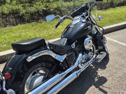 Yamaha  XVS650 2009 года за 3 800 000 тг. в Алматы – фото 5