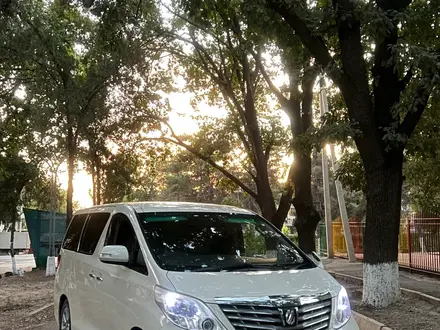 Toyota Alphard 2010 года за 6 200 000 тг. в Шымкент