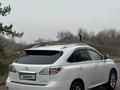 Lexus RX 350 2011 года за 12 500 000 тг. в Шымкент – фото 4