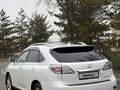 Lexus RX 350 2011 года за 12 500 000 тг. в Шымкент – фото 5