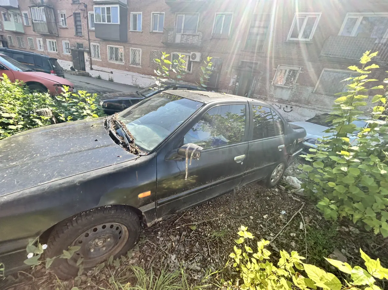 Nissan Primera, 1995