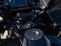 Harley-Davidson  Tri Glide 2026 года за 30 000 000 тг. в Алматы – фото 2
