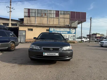 Toyota Camry 2000 года за 3 600 000 тг. в Шымкент