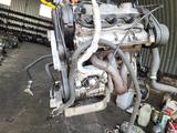 Двигатель ISUZU 6Vd1 3.2L дорестайлинг 1 катушка за 100 000 тг. в Алматы – фото 3