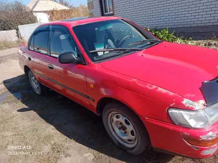 Toyota Corolla 1994 года за 1 500 000 тг. в Семей – фото 4