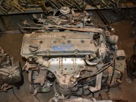 Двигатель Nissan 2.4 16V KA24DE Инжектор Трамблер за 250 000 тг. в Тараз