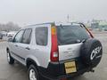 Honda CR-V 2003 годаүшін5 650 000 тг. в Алматы – фото 4