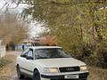 Audi 100 1991 годаүшін1 750 000 тг. в Талдыкорган