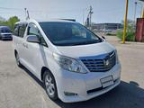 Toyota Alphard 2010 года за 9 990 000 тг. в Алматы