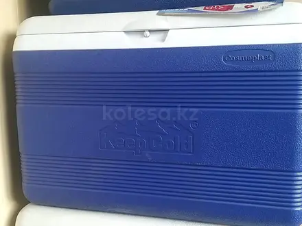 Термобокс Cosmoplast Ice Box Deluxe 46л за 30 000 тг. в Алматы