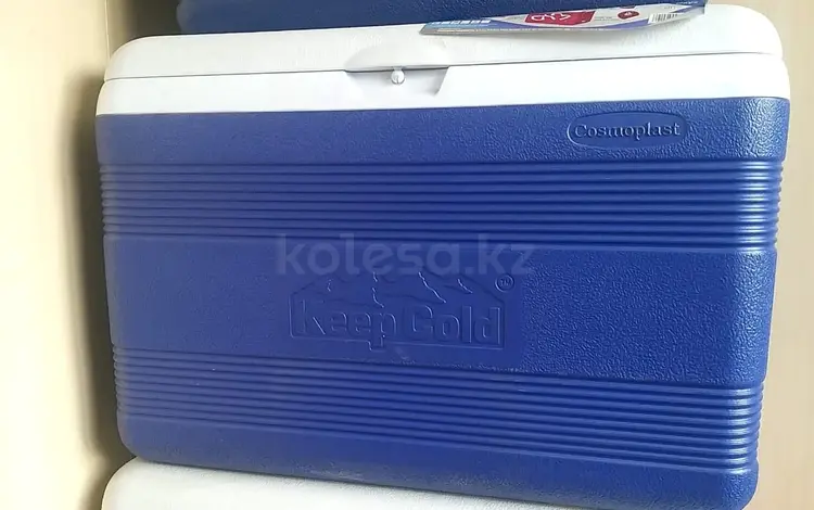 Термобокс Cosmoplast Ice Box Deluxe 46л за 30 000 тг. в Алматы