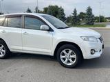 Toyota RAV4 2010 года за 7 500 000 тг. в Талдыкорган – фото 5