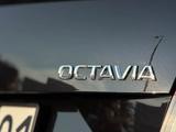 Skoda Octavia 2018 года за 12 500 000 тг. в Костанай – фото 4
