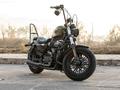 Harley-Davidson  Sportster 48 1202cm3 2015 годаүшін7 000 000 тг. в Алматы – фото 2