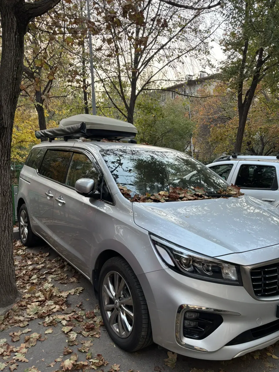 Kia Carnival, 2019