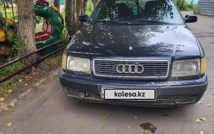 Audi 100 1992 годаүшін1 600 000 тг. в Петропавловск