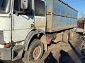 КамАЗ  IVECO FIAT 1990 года за 14 200 000 тг. в Павлодар – фото 8