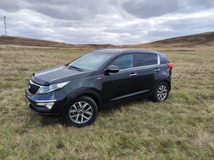 Kia Sportage 2014 года за 9 200 000 тг. в Усть-Каменогорск – фото 3