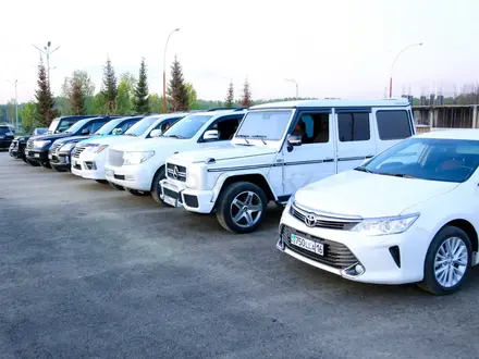 Компания "VIP-AVTO" в Усть-Каменогорск – фото 9