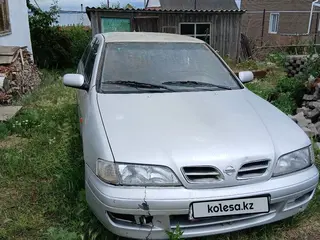 Nissan Primera, 1997