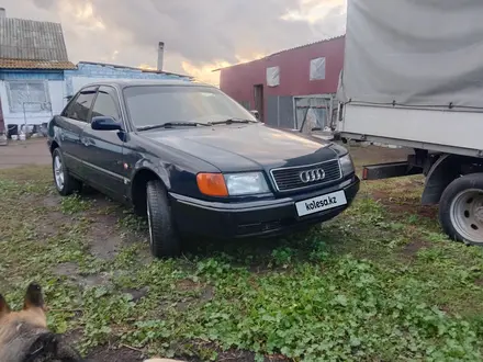 Audi 100 1992 года за 2 500 000 тг. в Кокшетау