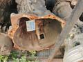 Nissan КПП, Nissan коробки, МКПП АКППүшін1 000 тг. в Актобе – фото 15