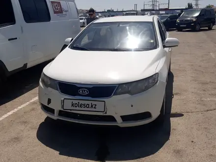 Kia Cerato 2012 года за 3 500 000 тг. в Актау – фото 12