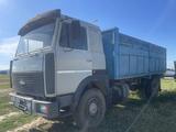 МАЗ  238 1995 годаүшін3 500 000 тг. в Аулиеколь – фото 4