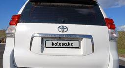 Toyota Land Cruiser Prado 2011 года за 12 000 000 тг. в Усть-Каменогорск – фото 5